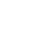 Data & AI Governance